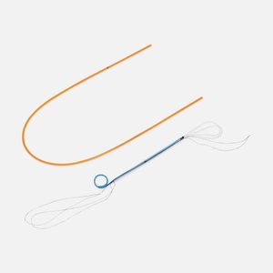 Polaris™ Loop Stent ureteral